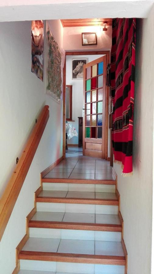 Chalet Erminea 霞慕尼 外观 照片