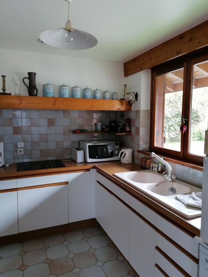 Chalet Erminea 霞慕尼 外观 照片