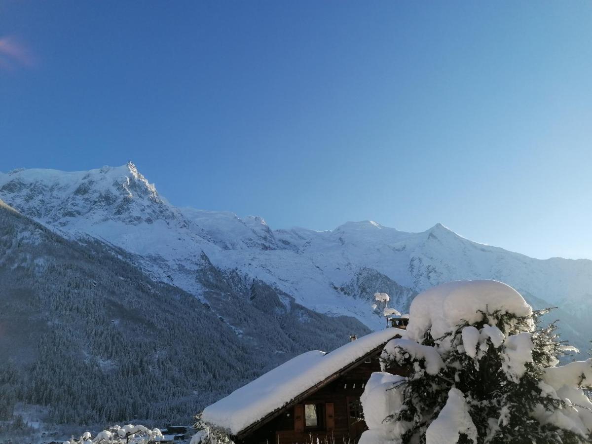 Chalet Erminea 霞慕尼 外观 照片